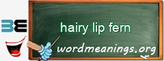 WordMeaning blackboard for hairy lip fern